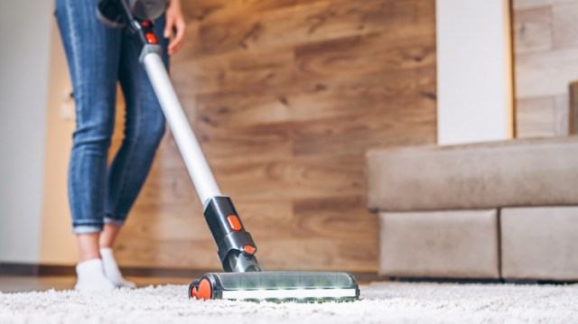 Shark Vacuums: The Basic Buying Guide