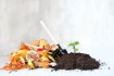 Step-by-Step Instructions on How to Compost at Home Successfully