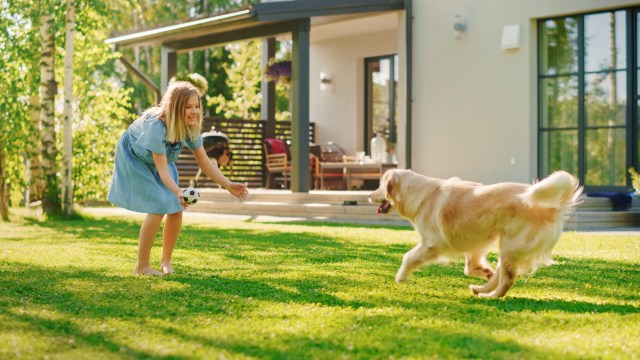 Creating a Pet-Friendly Garden: Tips and Tricks for a Safe Outdoor Space